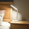 BioLight™ - Full Spectrum Lamp 1