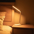 BioLight™ - Full Spectrum Lamp 4
