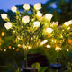 Gardenier