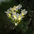 Everbloom™ Solar Flower Lights 22