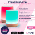 Friendship Lamp 1