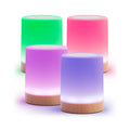 Friendship Lamp 13