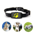 GPS Halsband für Katzen mit Echtzeit-Tracking, IP67 Wasser- und Staubschutz 1