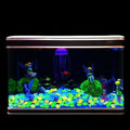 GlowPebbles™ Luminous Stones 2