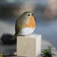 Robin