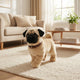 Mops