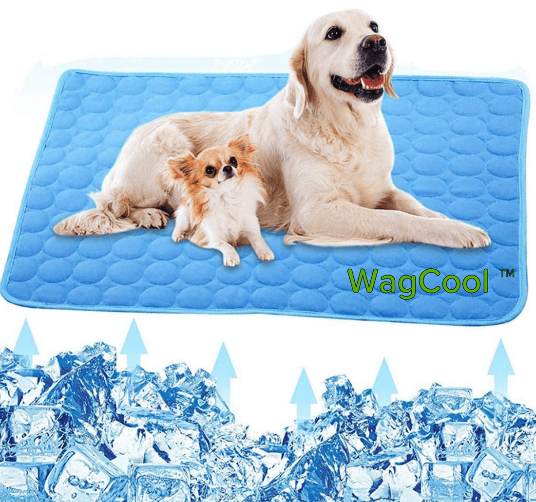 Kühlmatte Katze – Druckaktiv, Ice-Silk, Faltbar, Ideal für Hunde und Katzen, Leichte Abkühlung an warmen Tagen 0