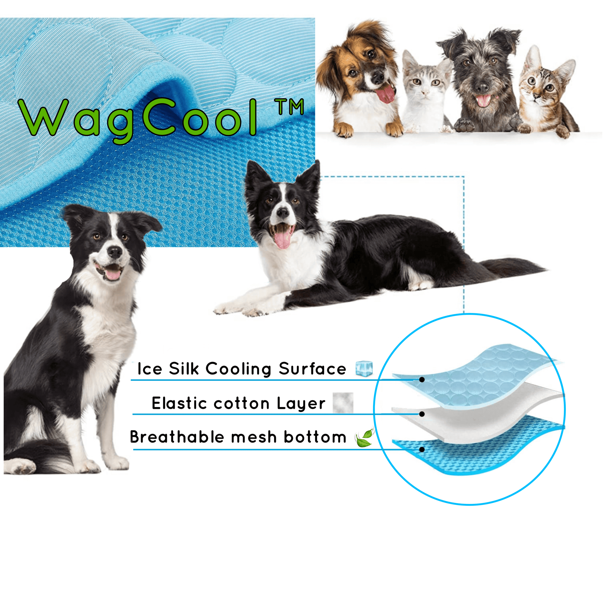 Kühlmatte Katze – Druckaktiv, Ice-Silk, Faltbar, Ideal für Hunde und Katzen, Leichte Abkühlung an warmen Tagen 3