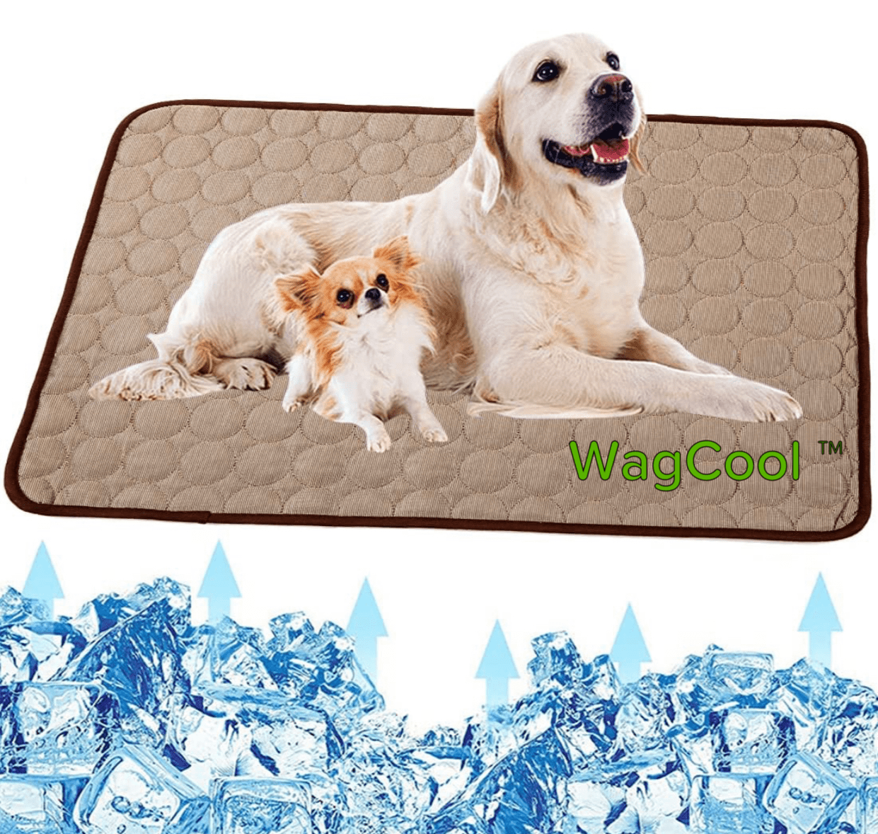 Kühlmatte Katze – Druckaktiv, Ice-Silk, Faltbar, Ideal für Hunde und Katzen, Leichte Abkühlung an warmen Tagen 4