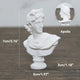 Apollo