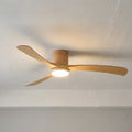 Modern Ceiling Fan With Light - Aerialynx 10