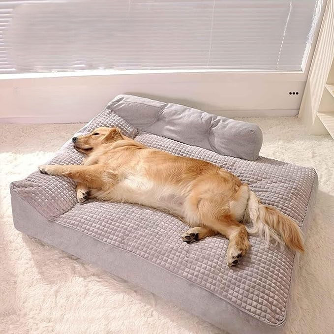 Orthopädisches Hundebett mit Waschbarem Kissen, Extra Dicke Polsterung, Ideal für Große und Kleine Hunde 2