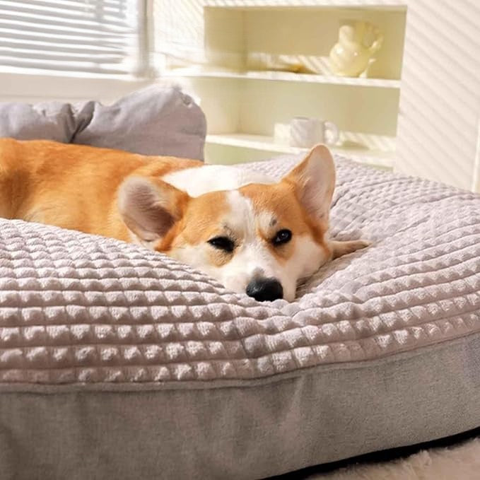 Orthopädisches Hundebett mit Waschbarem Kissen, Extra Dicke Polsterung, Ideal für Große und Kleine Hunde 3