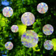 Rotondo - 10 pezzi