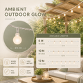 Thrives Outdoor | LumaOrbs Fairy Chain 3