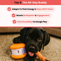 Ultimate Stimulation Bundle 3
