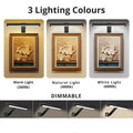 Wireless LED Rechargeable Picture Light 6