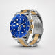 Blau/Gold