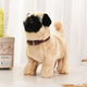 Mops